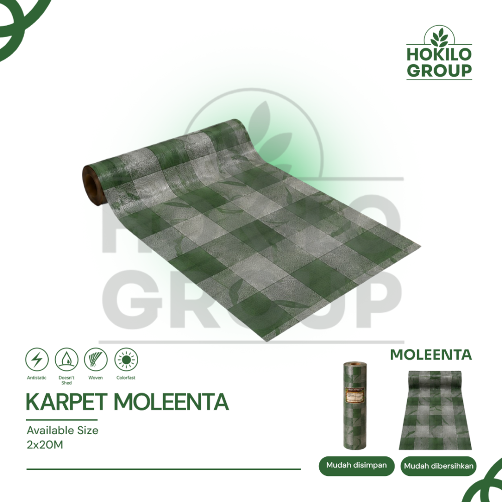 Karpet Moleenta